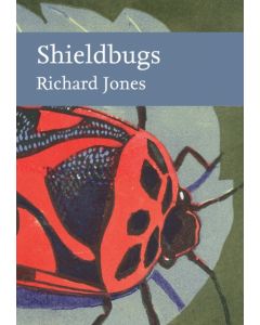 Shieldbugs