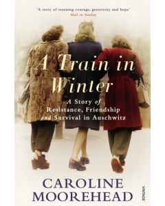 A Train in Winter