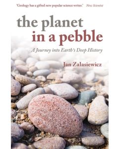 The Planet in a Pebble