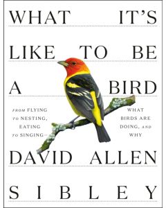 What It's Like to be a Bird
