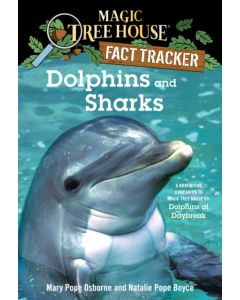 Dolphins and Sharks
