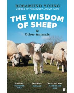 The Wisdom of Sheep & Other Animals