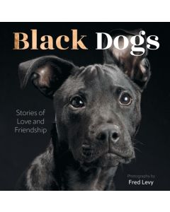 Black Dogs