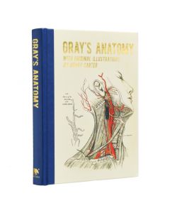 Gray's Anatomy