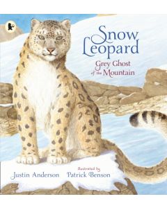 Snow Leopard: Grey Ghost of the Mountain