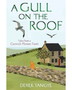 A Gull on the Roof