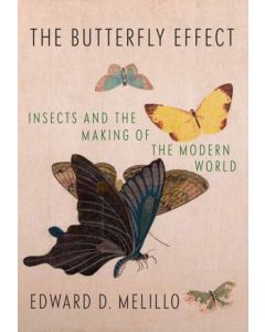 Butterfly Effect