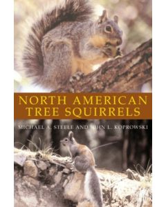 North American Tree Squirrels