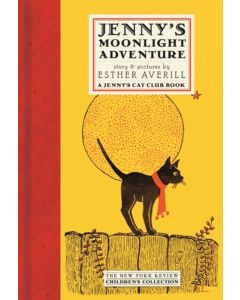 Jenny's Moonlight Adventure