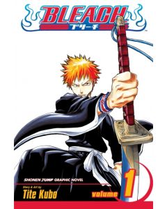 Bleach, Vol. 1
