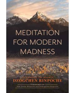 Meditation for Modern Madness