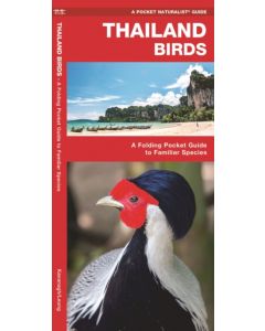 Thailand Birds