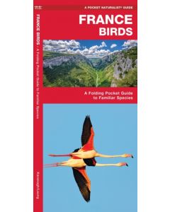 France Birds