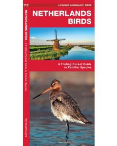 Netherlands Birds