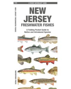 New Jersey Freshwater Fishes