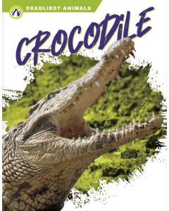 Crocodile