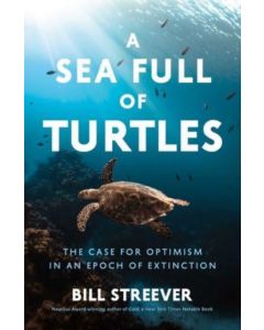 A Sea Full of Turtles