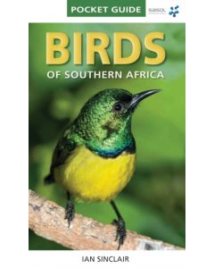 Pocket Guide Birds of Southern Africa