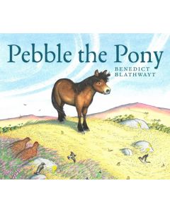 Pebble the Pony
