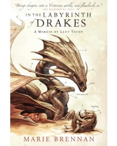 In the Labyrinth of Drakes
