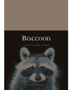 Raccoon