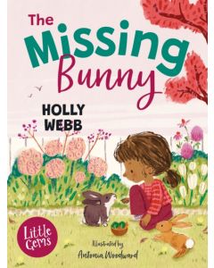 The Missing Bunny