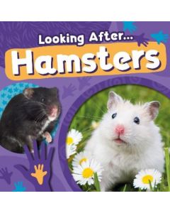 Hamsters