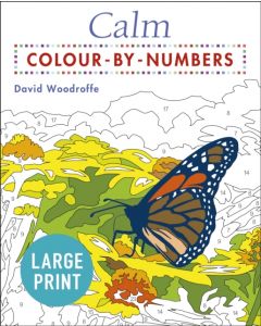 Large Print Calm Colour-by-Numbers