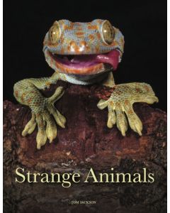 Strange Animals