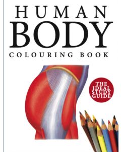 Human Body Colouring Book