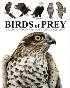 Birds of Prey