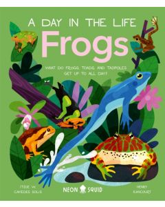 Frogs (A Day in the Life)