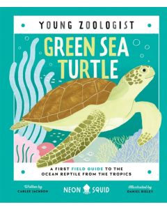 Green Sea Turtle (Young Zoologist)
