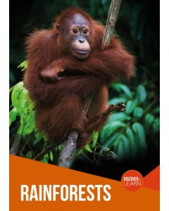 Rainforests