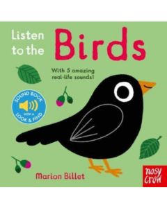Listen to the Birds