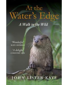 At the Water's Edge
