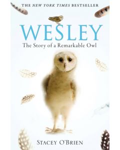 Wesley