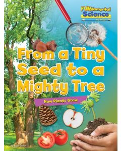 From a Tiny Seed to a Mighty Tree