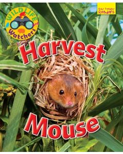 Wildlife Watchers: Harvest Mouse