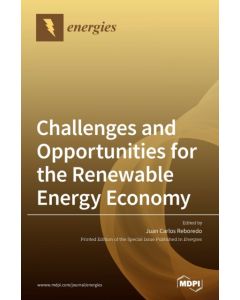 Challenges and Opportunities for the Renewable Energy Economy