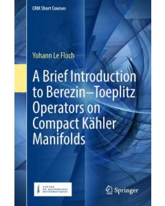 A Brief Introduction to Berezin–Toeplitz Operators on Compact Kahler Manifolds