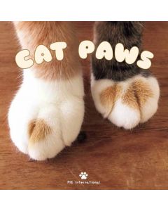Cat Paws