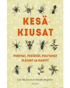 Kesäkiusat