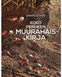 Koko perheen muurahaiskirja