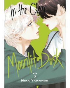 In the Clear Moonlit Dusk 7