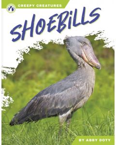 Shoebills